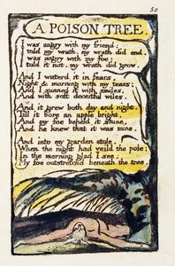 „A Poison Tree”, 50. lemez (Bentley 49) a „Songs of Innocence and of Experience”-ből (Bentley Copy L) 1789-94 (magas metszet tollal és WC-vel) alkotó: William Blake